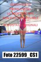 22599_CS1-