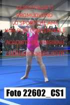 22602_CS1-
