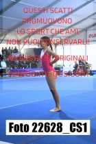 22628_CS1-