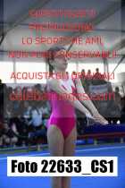 22633_CS1-