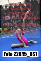 22645_CS1-