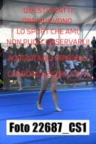 22687_CS1-