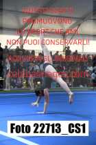 22713_CS1-