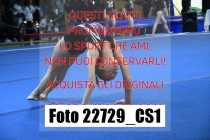 22729_CS1-