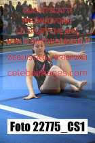 22775_CS1-