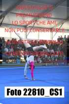 22810_CS1-