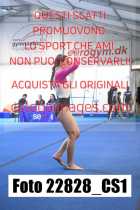 22828_CS1-
