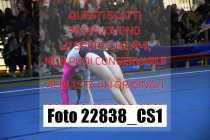 22838_CS1-