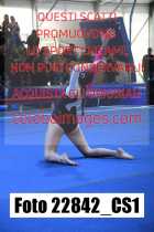 22842_CS1-