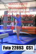 22893_CS1-