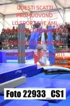 22933_CS1-