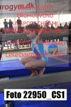 22950_CS1-