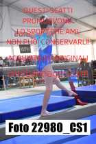 22980_CS1-