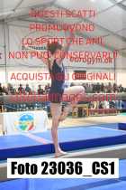 23036_CS1-