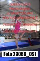 23066_CS1-