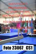 23067_CS1-