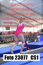 23077_CS1-