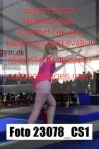 23078_CS1-