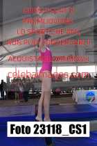 23118_CS1-