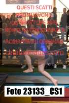 23133_CS1-