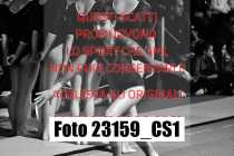 23159_CS1-