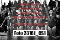 23161_CS1-