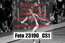 23190_CS1-
