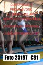 23197_CS1-