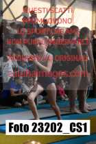 23202_CS1-
