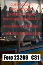 23208_CS1-