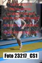 23217_CS1-