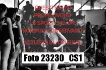 23230_CS1-