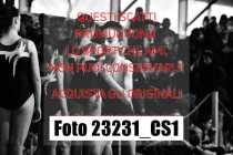 23231_CS1-