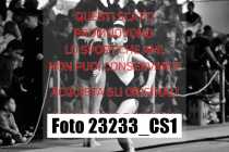 23233_CS1-