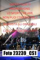 23239_CS1-