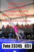23245_CS1-