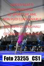 23255_CS1-