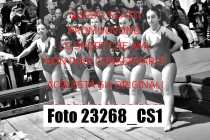 23268_CS1-
