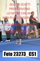 23273_CS1-