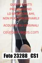 23288_CS1-