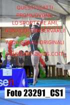 23291_CS1-