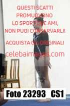 23293_CS1-