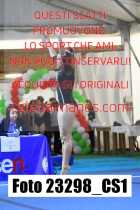 23298_CS1-