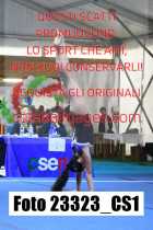 23323_CS1-