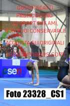 23328_CS1-