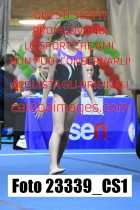 23339_CS1-