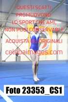 23353_CS1-
