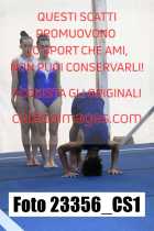 23356_CS1-