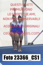 23366_CS1-
