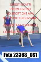 23368_CS1-